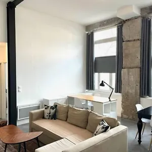 Appartement «le Badouillere» Spacieux, Saint-Etienne (Loire)